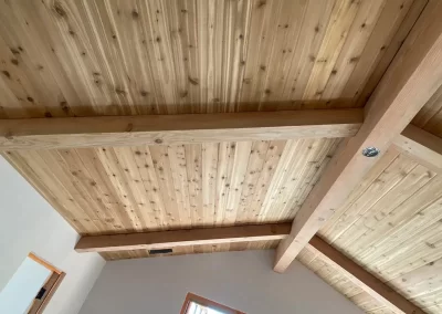 Experienced Professional Painter