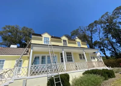 Experienced Professional Painter