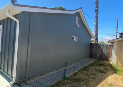 Experienced Professional Painter