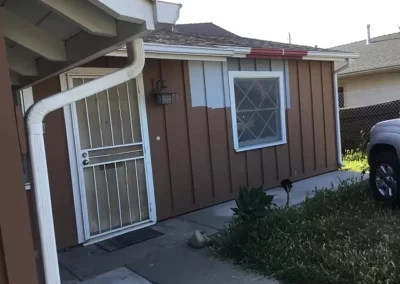 Experienced Professional Painter