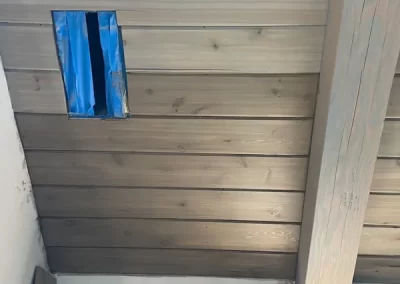 Experienced Professional Painter