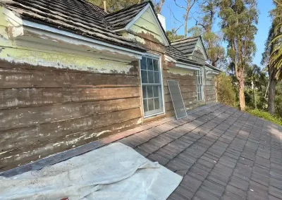 Experienced Professional Painter