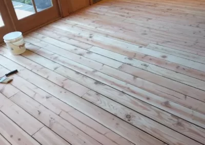 Experienced Professional Painter