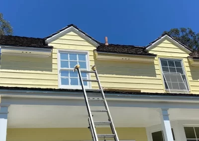 Experienced Professional Painter